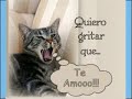 Tk♥