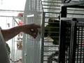 videos de herkimer enjoying a head scritch