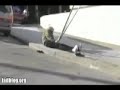 TOP 5 SKATEBOARD FAILS!!!!!