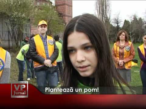 Plantează un pom!