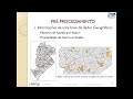 Regras de Associação - Base de Crimes ocorridos em Belo Horizonte