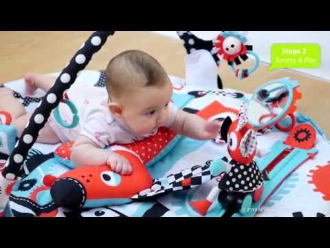 gymotion robo playland