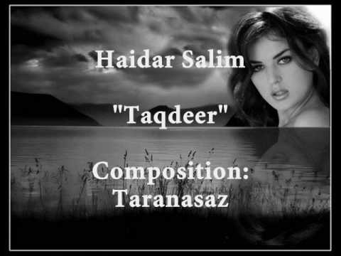 Haidar Salim
