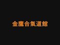 Hapkido Demo Clip 2009 - Gum Ying Hapkido Studio (Vancouver) 金鷹合氣道館
