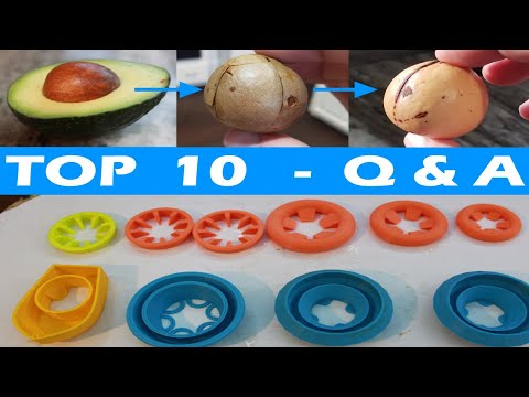 video-linktoworks-Avocado Growing Tips - Top 10 Answered Questions
