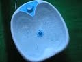 Goldfish Spa 1 Goldfish Spa 1