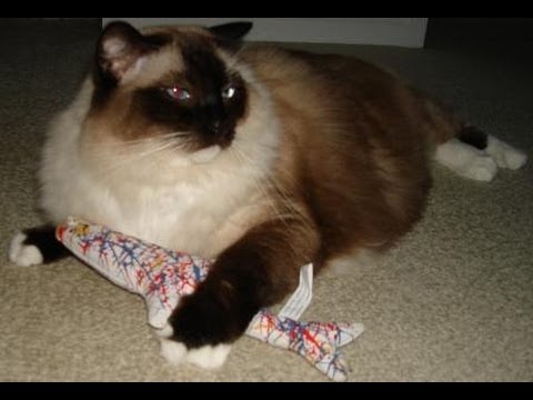 0 Yeowww! Catnip Toys