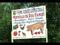 Songhai Sustainability Project Part 3 Songhai Sustainability Project Part 3