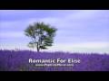 Romantic For Elise - Beautiful Piano Music by Miranda Wong
