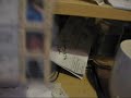 BOBzilla running wild on youtube Savino Mail!