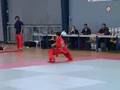 championnats de ligue wushu paris 2006 competition sampler