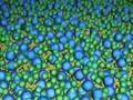 Ecology Coatings