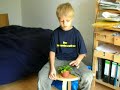 se-fleischfressende-pflanzen se-fleischfressende-pflanzen