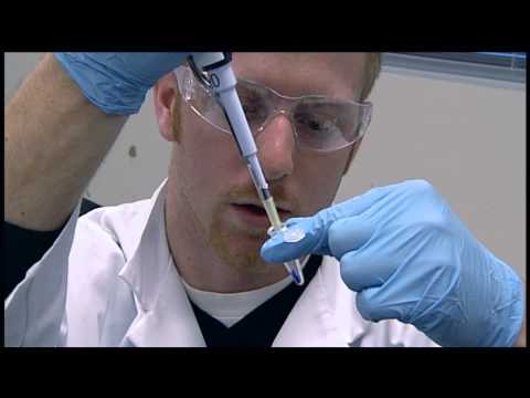 On the Path to a Career in the Lab