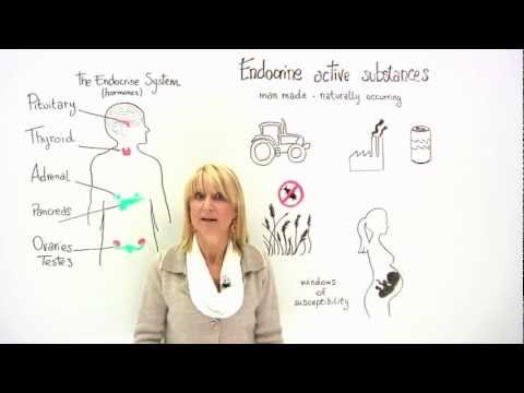 how to assess endocrine system