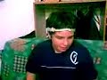 Luii el panchero show