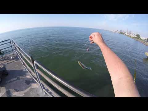 Fishing for perch at Edgewater Pier in Cleveland, Ohio