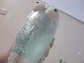 Click here to watch this video Schnittmusterherstellung für einen Fisch AVI DV.mp4