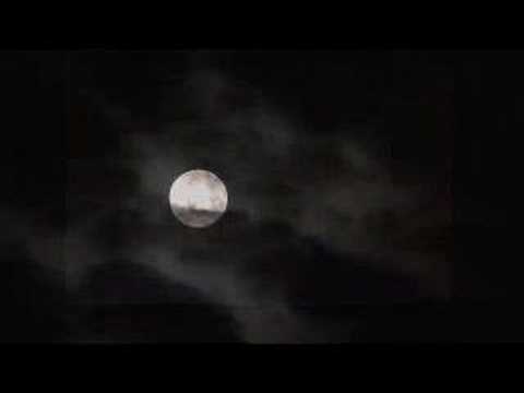 ROOTDOGS - Gallows Pole