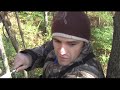eight point bow hunt deer hunting eight point bow hunt deer hunting