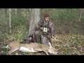 eight point bow hunt deer hunting