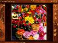 videos de Pandora's Box - Puck