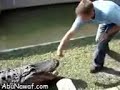 WOW Crocodile Attacks Man
