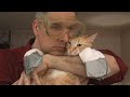 An Engineer's Guide to Cat Yodeling (with Cat Polka)