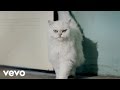 Katy Perry - Roar - From A Meow To A Roar - YouTube