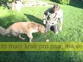 Stopa - nácvik označování předmětů