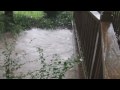 Rainy Day...but Fun