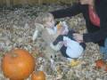 Halloween 08