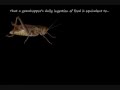 How wrong are Evolutionists?