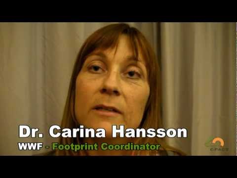 how to define sustainability