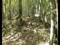 Kic�c� MTB - Il Crocione di Monte Salvaro