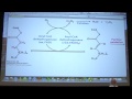 #37 Biochemistry Fat/Fatty Acid Metabolism I Lecture for Kevin Ahern's BB 451/551
