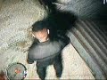 GTA IV - Myth Hunters - Case 3: Ratman (Part 1)
