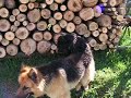 radar-action.MOV