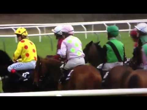 paddy power cheltenham