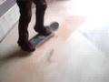 videos de shake junt