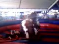 The Fake Bull wins