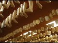 Nossa Senhora Aparecida - Santu�rio
