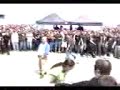 Pogo Dance Pogo Dance