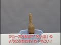 おもしろ実験　衝撃！コーラにラムネを入れるとどうなる？！ put the lemon pop into the cola