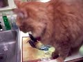 Milow Messing Around In The Kitchen!