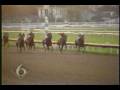 New Orleans Fair Grounds Fire -- Aftermath -- Part 1 of 4