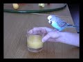 Budgie Table Manners  (Breakfast with Johnny)