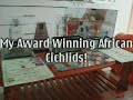 Award winning african cichlids