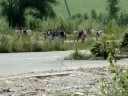 dobczyce 03.08.2008