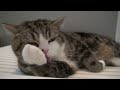 OMG :44 hahaha (@YouTube http://t.co/aLJyQHKn)